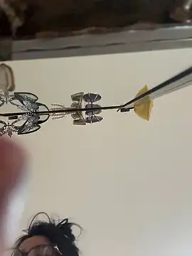 miss_juicy_babes69 - Miss_juicy_babes69's free webcam - UK Sex Cams