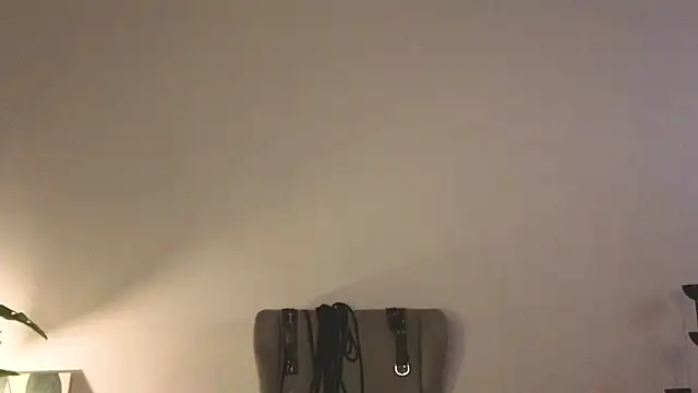 laracroftmansion webcam