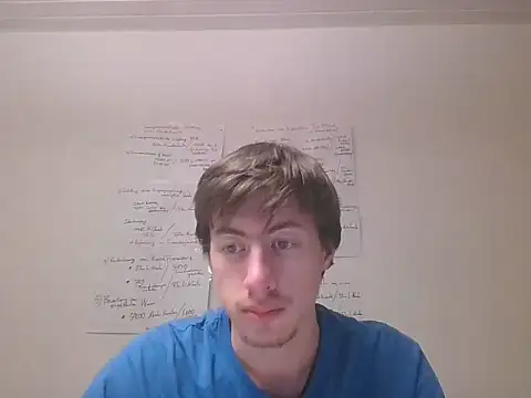 VelvetRagottiOG live sex cam