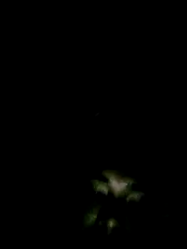 rafi_boy (M young) - #asian #ass-to-mouth #bangladeshi #beardy #bengali #brunettes #cam2cam #cheap-privates #dildo-or-vibrator #doggy-style #e-boy #ejaculation #fingering #handjob #hd #indian #jerk-off-instruction #kissing #masturbation #medium #medium-hair #mobile #oil-show #orgasm #sex-toys #shaven #small-audience #small-cock #smoking #straight #young