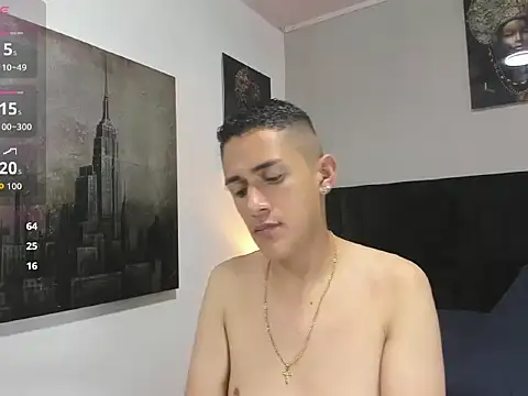 _Alan_Walker_1 webcam