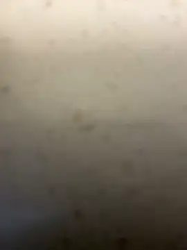 Cardcounter909 webcam