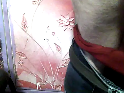 two_colour_cock webcam