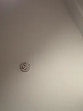 andrestarr - Andrestarr's free webcam - UK Sex Cams