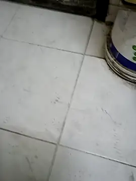 ConvoyedSubgroup webcam