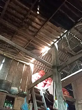 dakota-kis - Dakota-kis's free webcam - UK Sex Cams