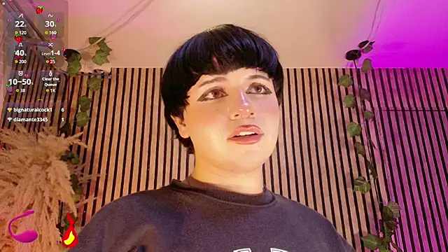 Hiddenhotcake webcam