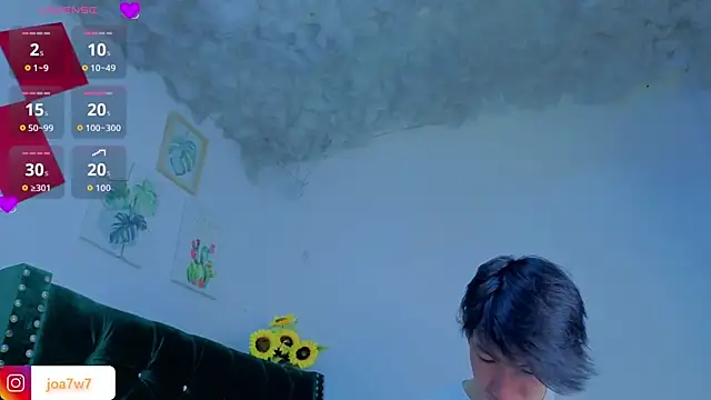 Levii_Ackermann webcam