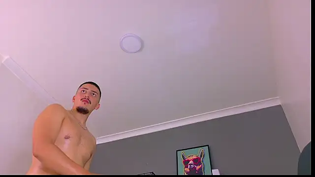 MrFox__ webcam