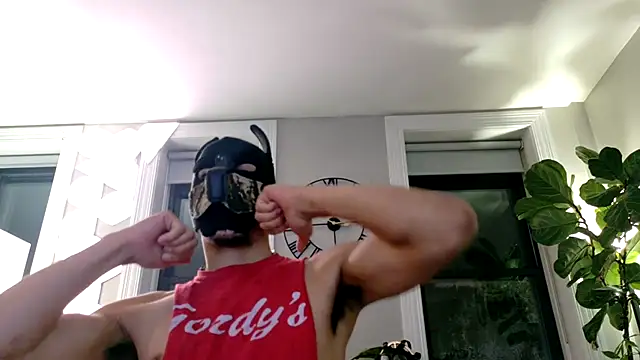 bestofdoseswirls avatar