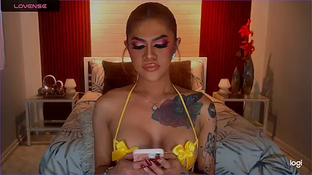 StellaStrong30 webcam