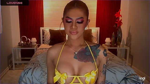 StellaStrong30 webcam