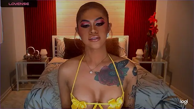 StellaStrong30 webcam