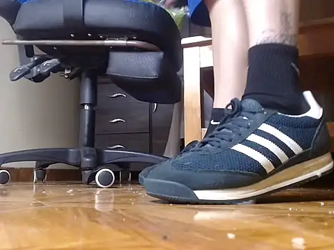 alphaswitchard webcam