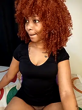 schatz_harvin webcam