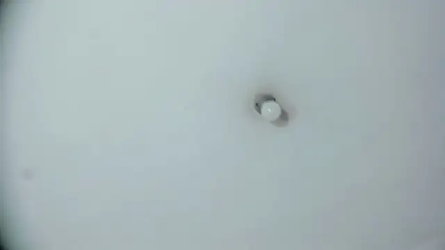 Rosse__Carter1 webcam