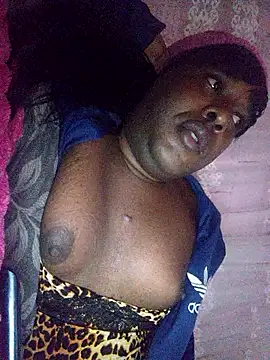 Hellentrans24 webcam