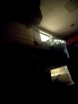 AceticPinscher webcam