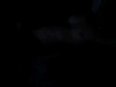 cabecaoegreluda webcam