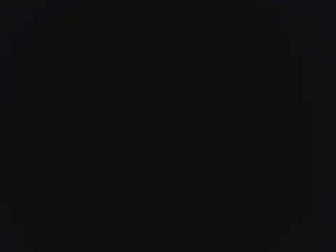 novilho18piroc webcam