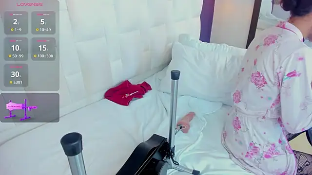 Dayan-Russell webcam