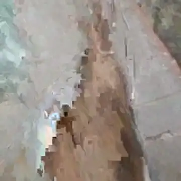 jockey2051992 webcam