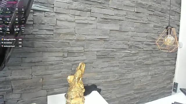 Doble_fantasia webcam