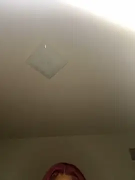 TinyBlazian901 webcam