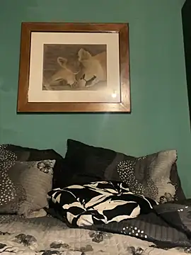 Preview of clipper12