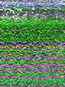 AlishaOfThorns webcam