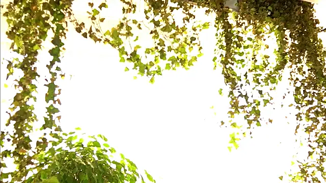 TheMaddisonShow_ webcam