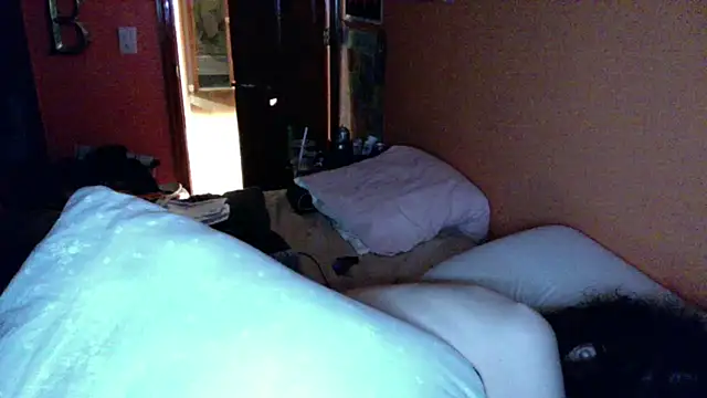 Teddy4420 live sex cam