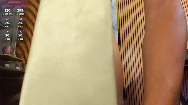 Hideintheoffice webcam