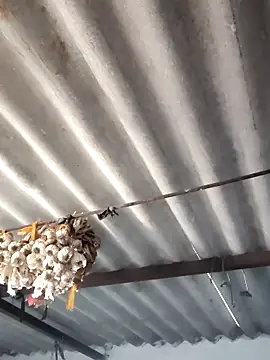 babita_gori - Babita_Gori's free webcam - UK Sex Cams