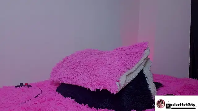 celestte_evans_1 webcam