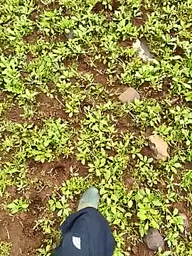 murokkk31's live cam