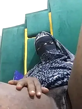 chocolate-puss webcam