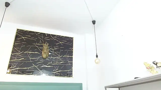 Patrick_Rango webcam