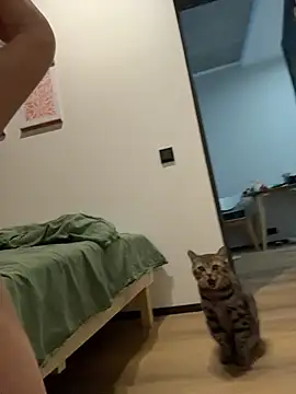 RinaCat Stripchat cam model