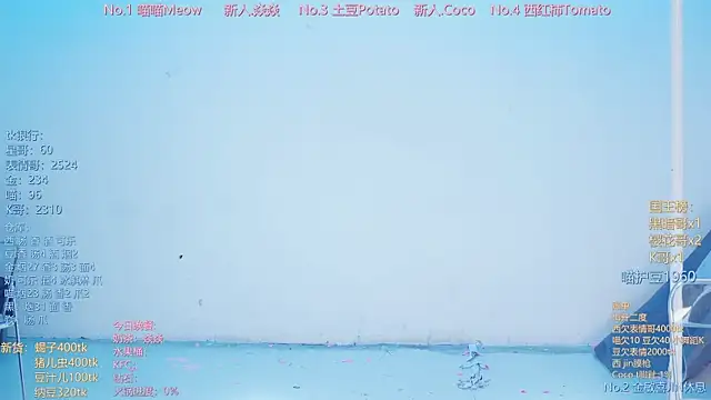 SSF-888 webcam