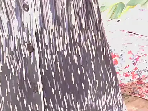 bold-smirthii webcam