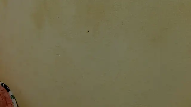 afroditaahot20 webcam