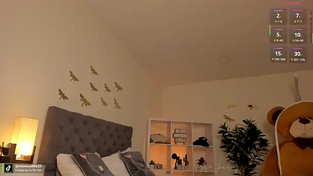 missvancouver webcam