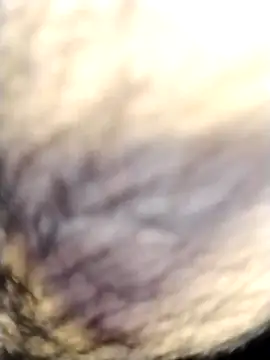 Hotyy_subhu live sex cam