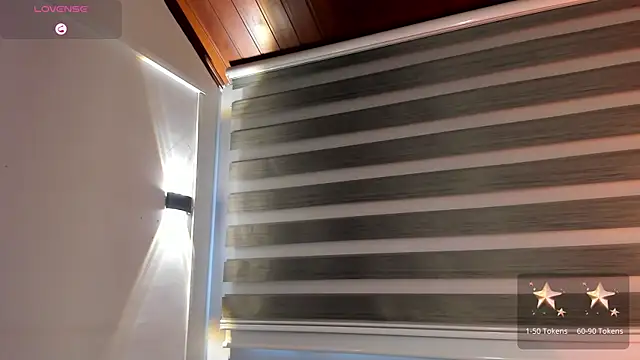 MERIDA_TAYLOR webcam