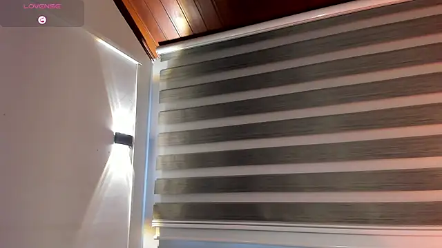 MERIDA_TAYLOR webcam