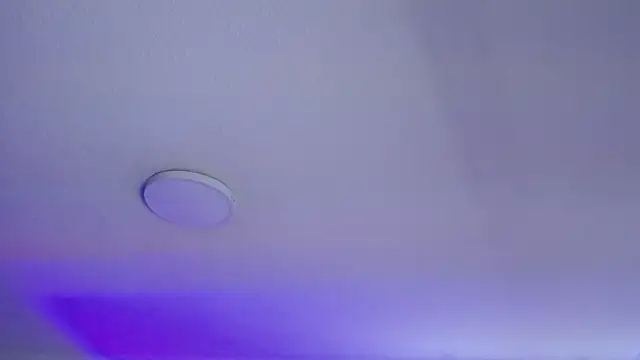 _Charlotte_Collins_ webcam