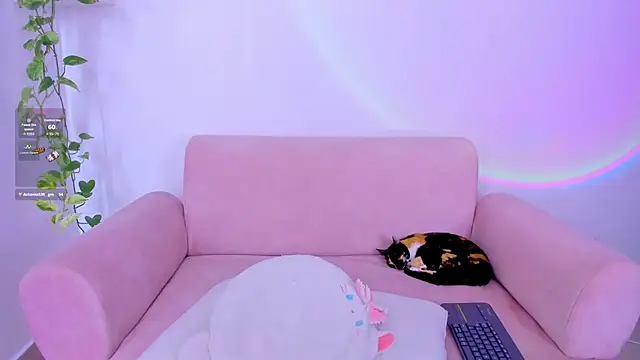 Catbaby888_ webcam