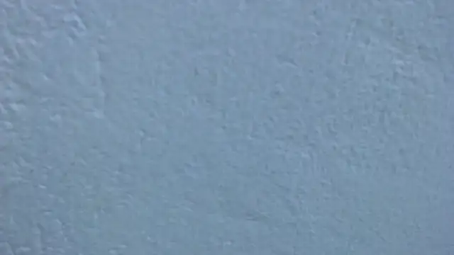 carolina_zabala_19 webcam