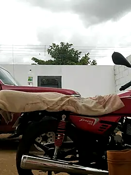 PIGHIGHDIRTY_p0 live sex cam